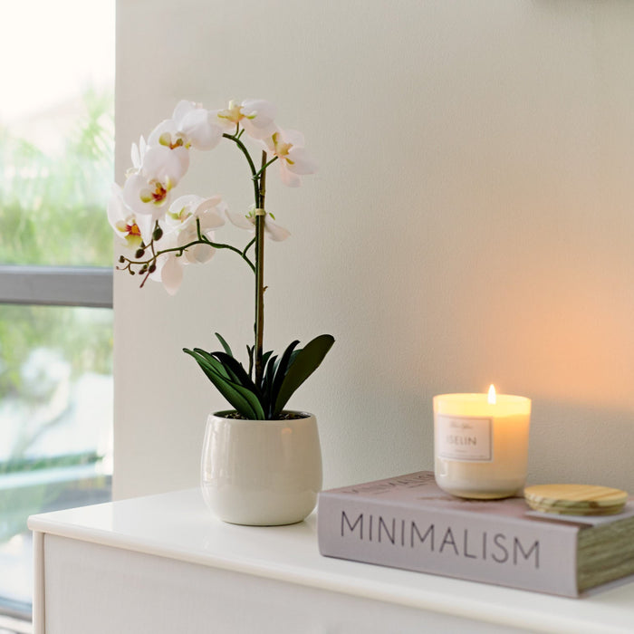 Orchid hvit 53 cm