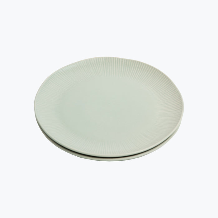 Thelma asjett 2 stk