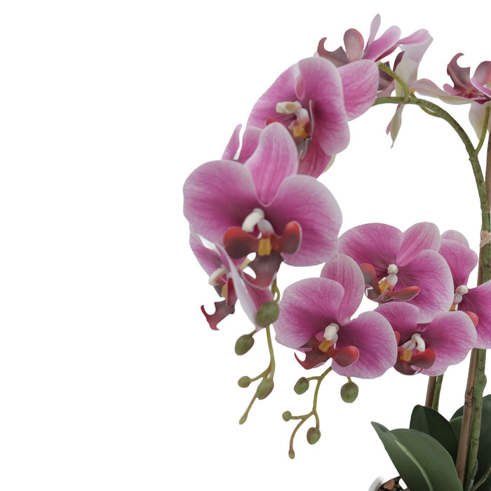 Orchid rosa 53 cm