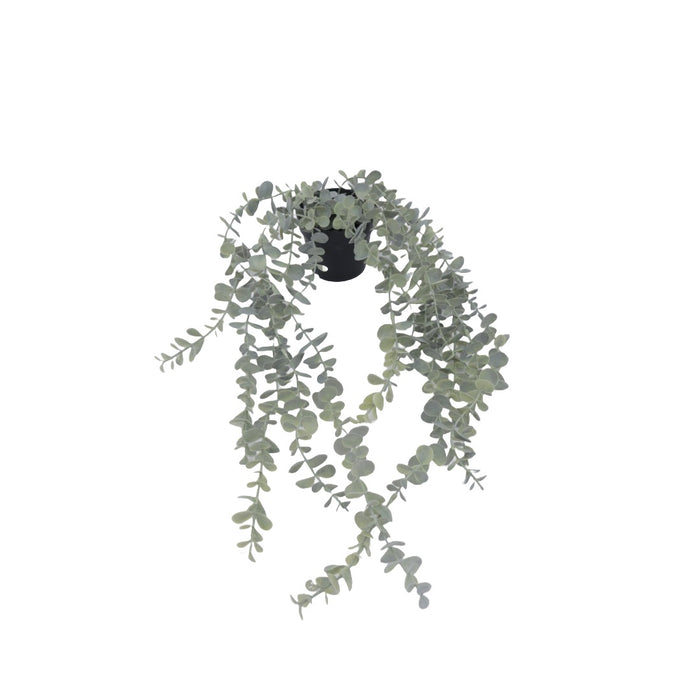 Flora sukkulent hengende 65 cm