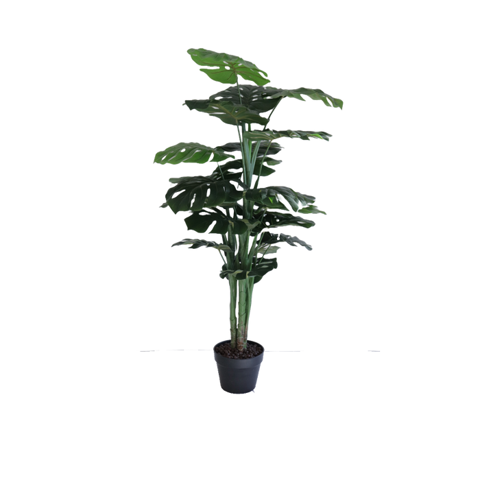 Flora Monstera 120 cm