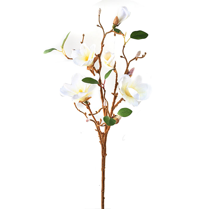 Magnoliagren hvit