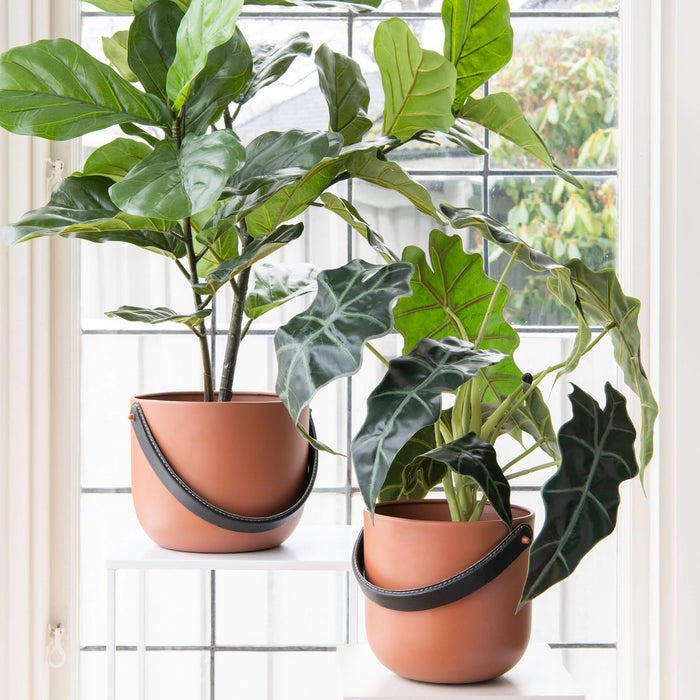 Lola potteskjuler terracotta