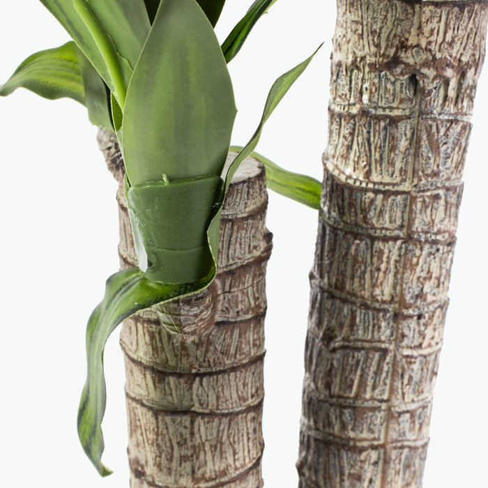 Flora Draketre H: 90 cm