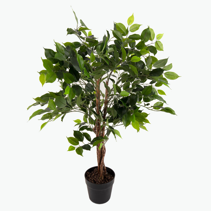 Flora Fiken 90 cm
