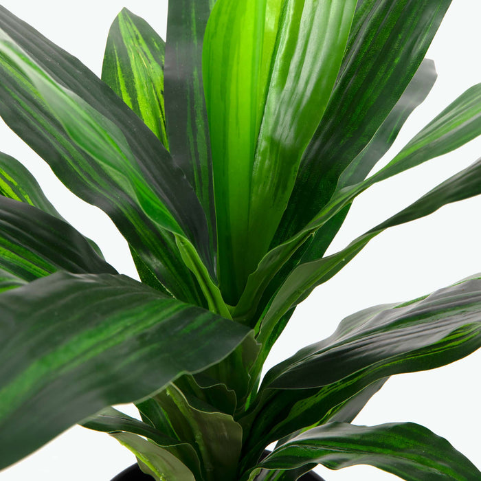 Flora Draketre 65 cm