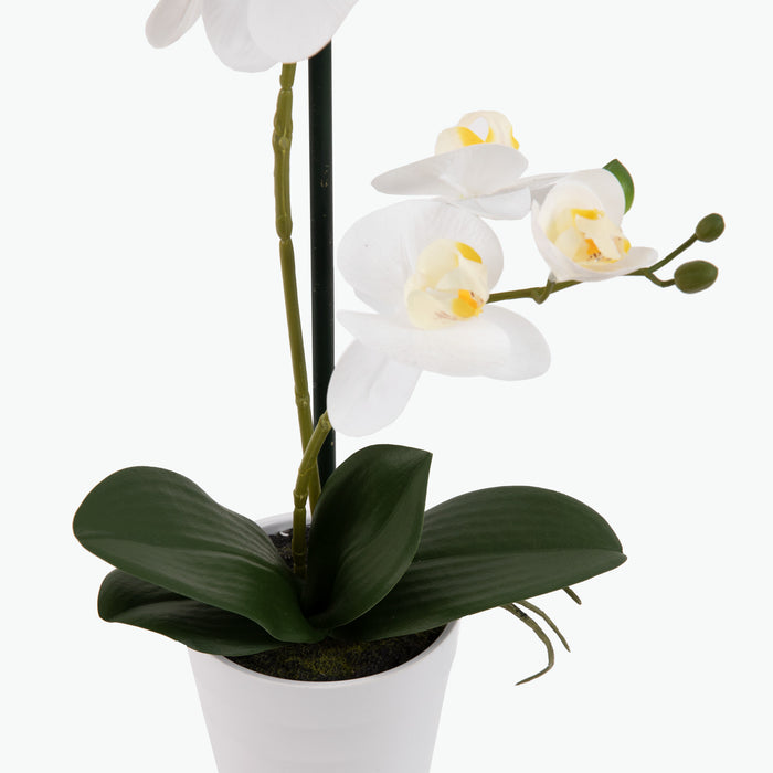 Flora Orkidé 51 cm