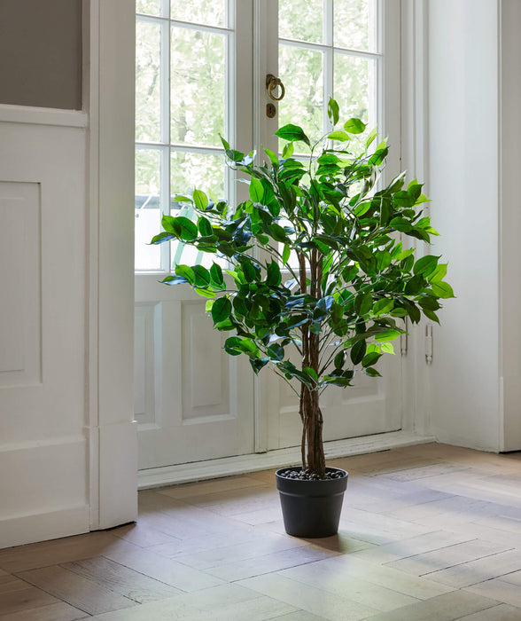Flora Fiken 90 cm