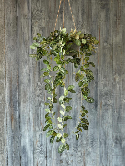 Flora Olivine