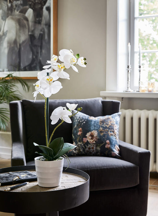 Flora Orkidé 51 cm
